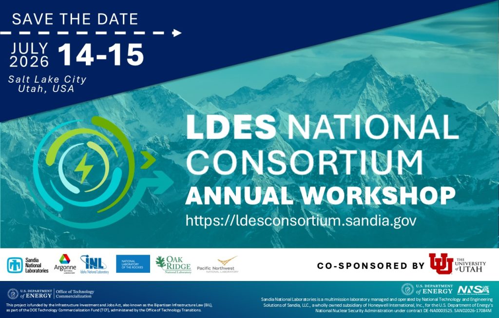 Image of SAVETHEDATE_LDESNCWorkshop_2026